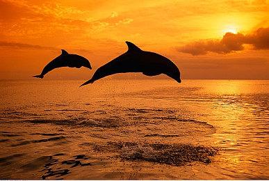 绝世美人！《真三国无双：起源》第46名武将：貂蝉